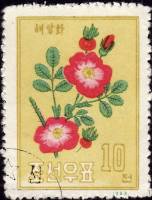 (1963-019) Марка Северная Корея "Шиповник морщинистый"   Цветы. III O
